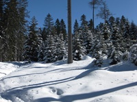 inverno